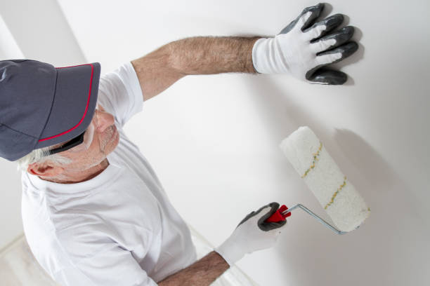 Best Asbestos and Lead Testing During Mold Inspection  in Mathews, VA