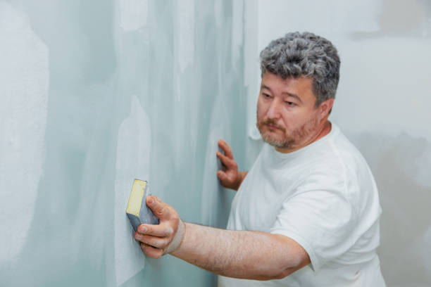 Best Water Damage & Mold Remediation  in Mathews, VA